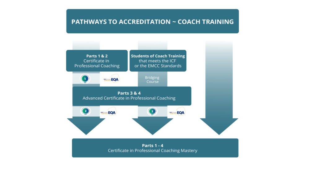 Treinamento do Frameworks Coaching Process (FCP) para Coaches 2023 - Loja  Taygeta Editora e Consultoria