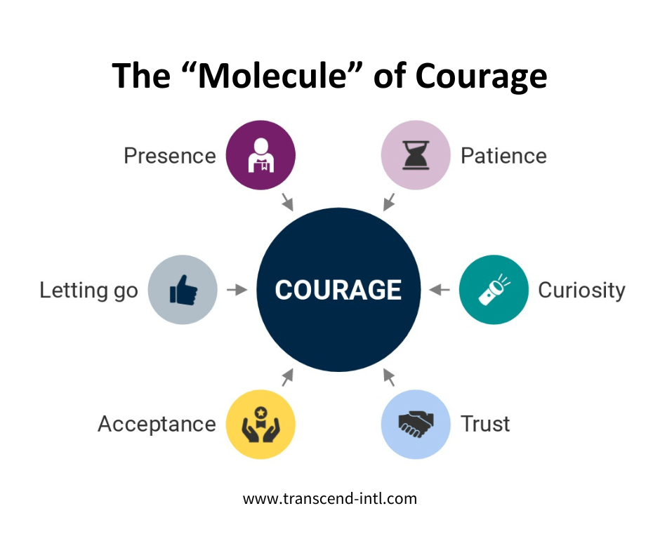 The Molecule of Courage